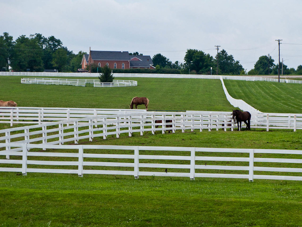 horse pasture and paddock